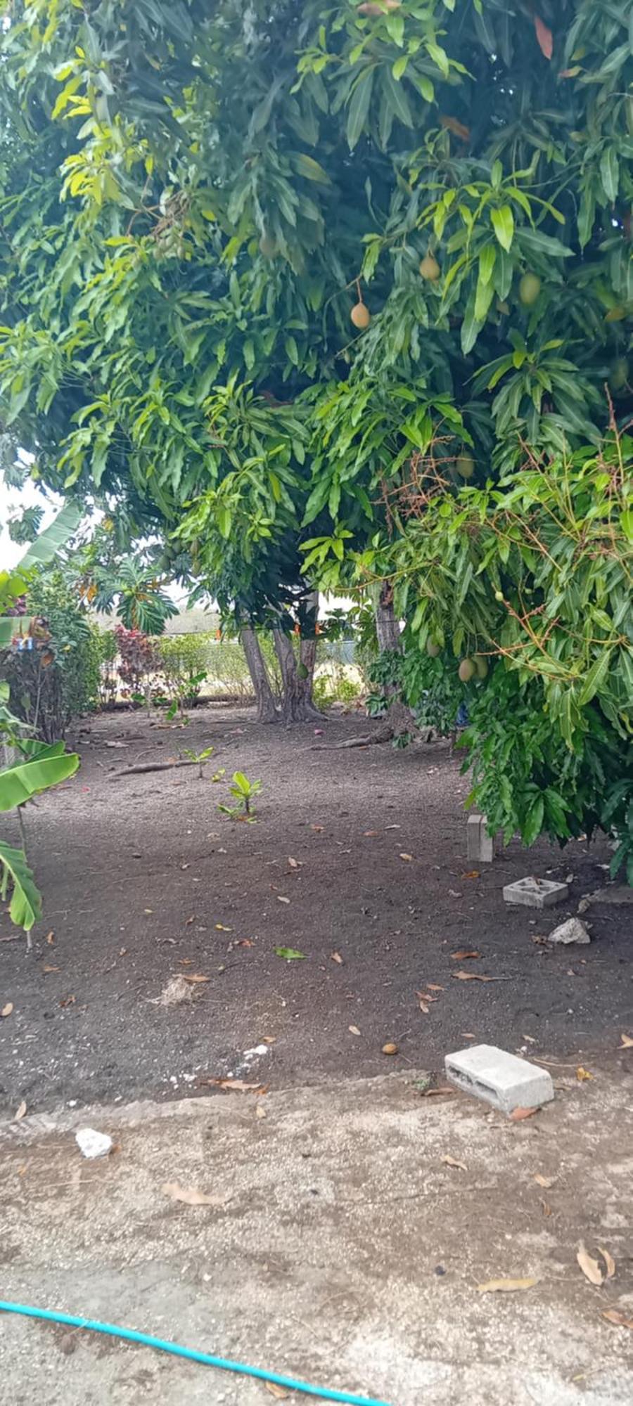 Chandler Homestay Saint Philip Bagian luar foto