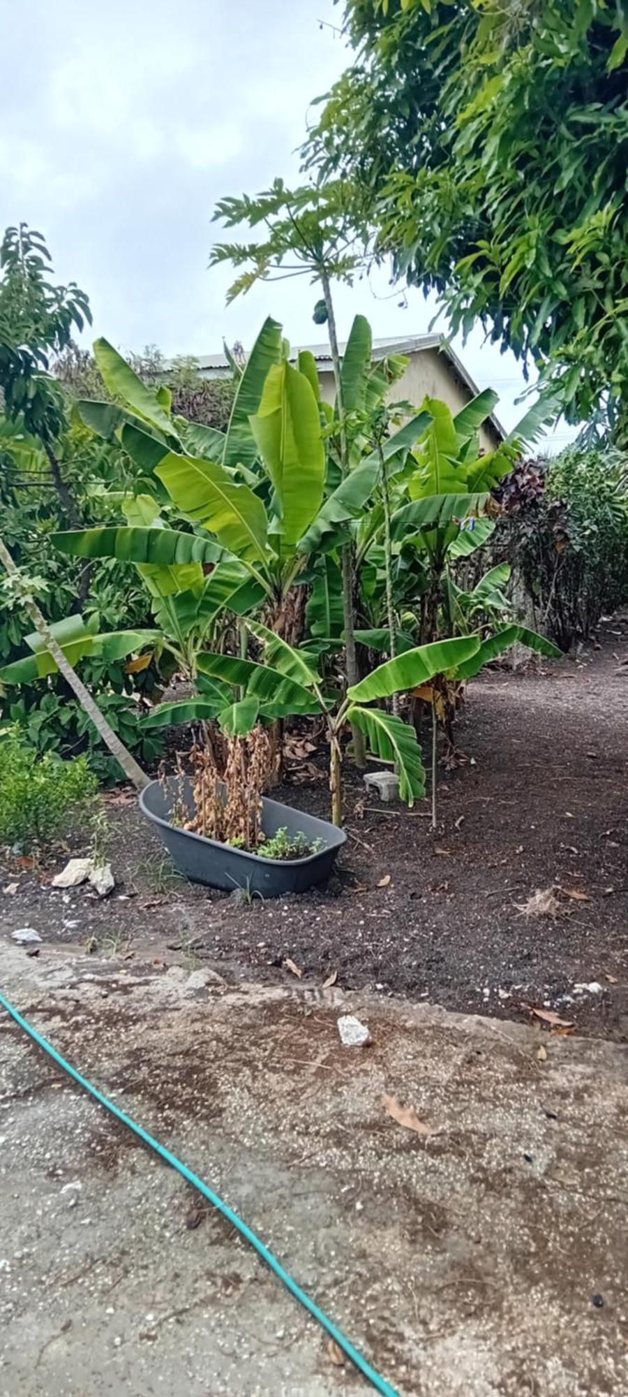 Chandler Homestay Saint Philip Bagian luar foto